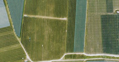 Agrofotowoltaika w Polsce - laczenie upraw z produkcja energii